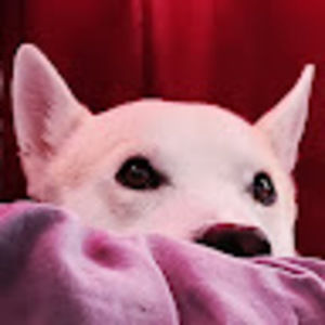 Meet your Posher, Edgar